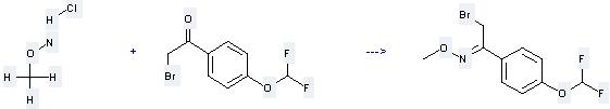 Ethanone,2-bromo-1-[4-(difluoromethoxy)phenyl]- can be used to produce 2-bromo-1-(4-difluoromethoxy-phenyl)-ethanone O-methyl-oxime